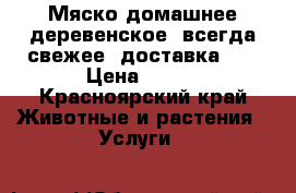 Мяско домашнее деревенское, всегда свежее, доставка!!! › Цена ­ 250 - Красноярский край Животные и растения » Услуги   